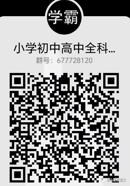 篮球训练新闻稿_1